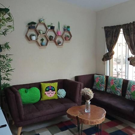 La Casa Del Pinito Apartment ซอนซอนาเต ภายนอก รูปภาพ