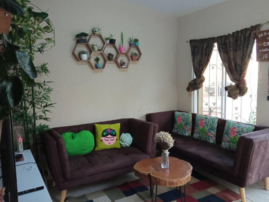 La Casa Del Pinito Apartment ซอนซอนาเต ภายนอก รูปภาพ