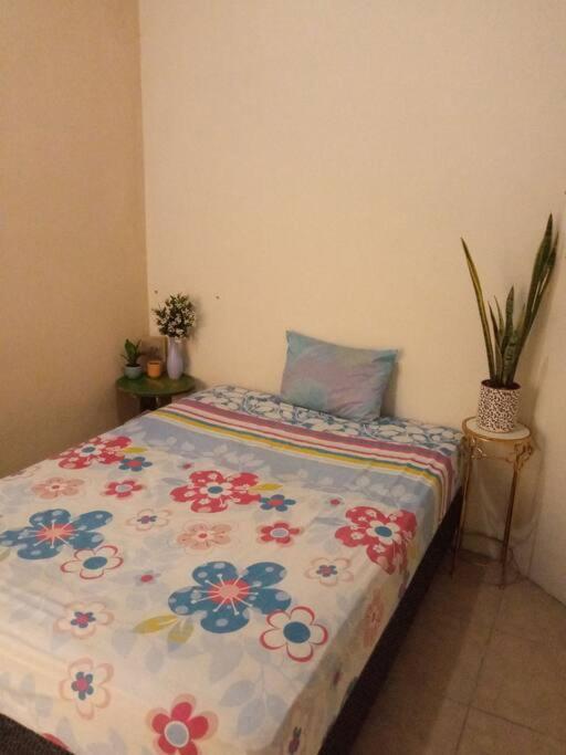 La Casa Del Pinito Apartment ซอนซอนาเต ภายนอก รูปภาพ