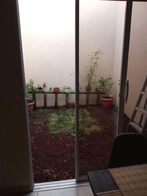 La Casa Del Pinito Apartment ซอนซอนาเต ภายนอก รูปภาพ